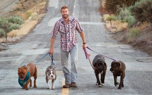 Zack Skow and his dogs